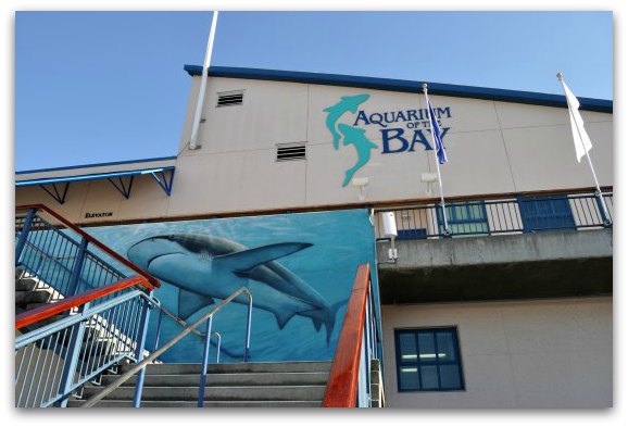 San Francisco Bay Aquarium: Explore this Pier 39 Gem - Aquarium Of The Bay Main