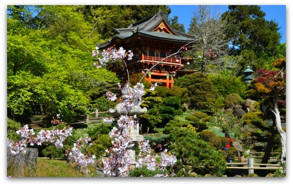 Japanese Tea Garden San Francisco Golden Gate Park