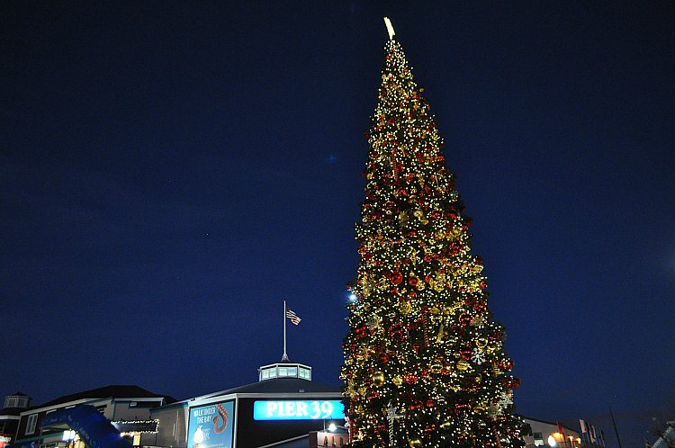 free things to do in san francisco in november 25 you can free things to do in san francisco in november 25 you can