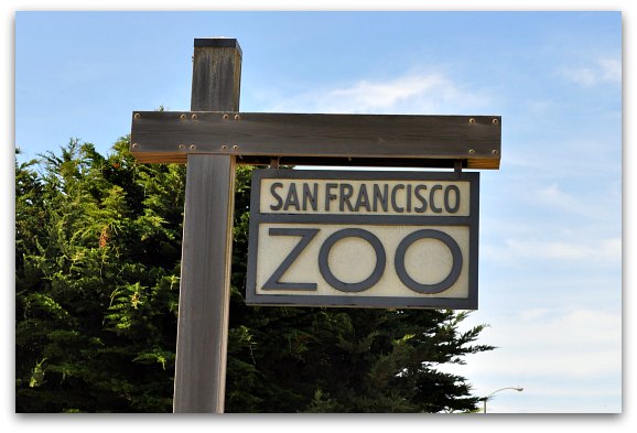 San Francisco Zoo: See the Gorillas, Big Cats & Other Animals
