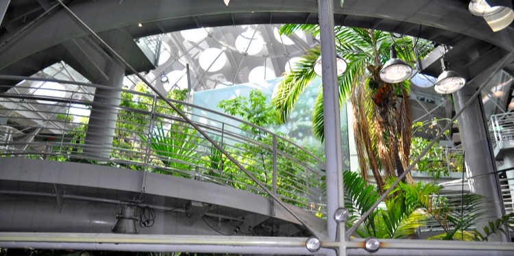 San Francisco With Kids Top 25 Kid Friendly Attractions