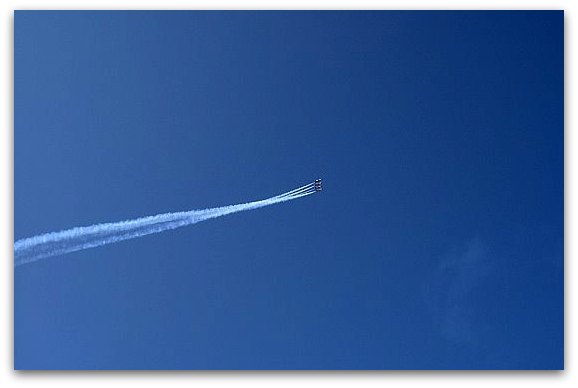 blue angels over the san francisco bay