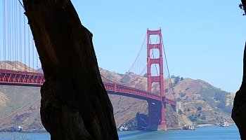 Labor Day SF