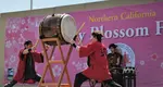 San Francisco Cherry Blossom Festival in April