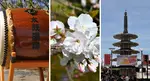 Three Images of the Annual Cherry Blossom Festival in San Francisco