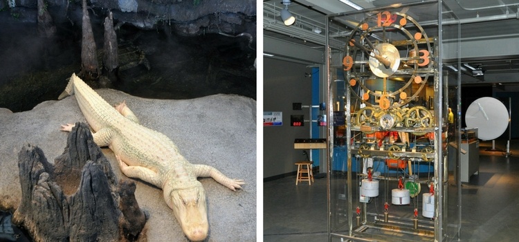 Adult Museum Parties in San Francisco