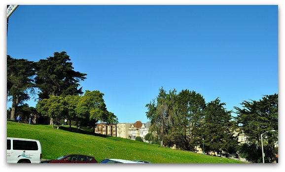 Alamo Square Park from Steiner