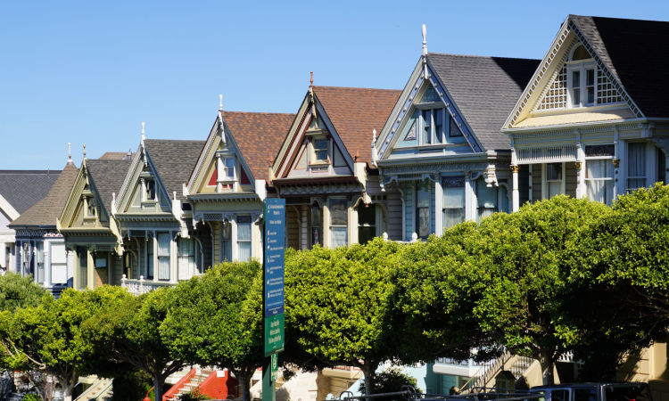 Alamo Square Painted Ladies on Steiner
