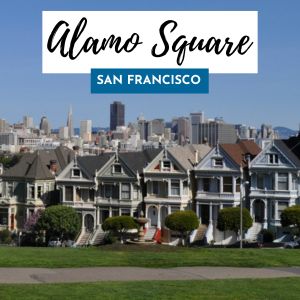 alamo square sf 300