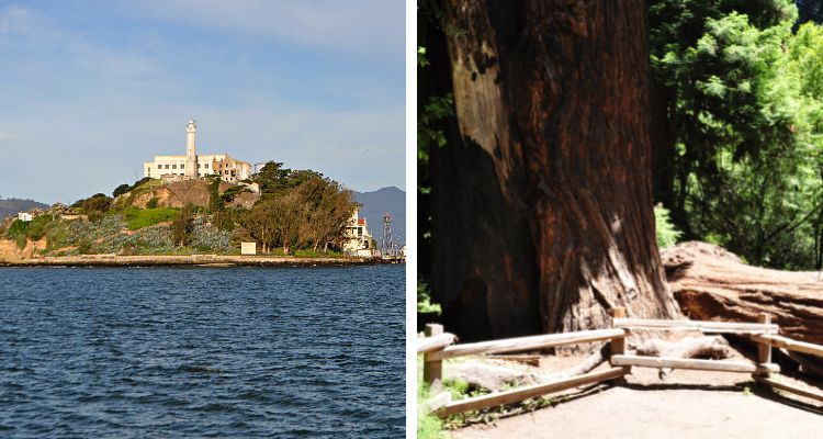Alcatraz and Muir Woods