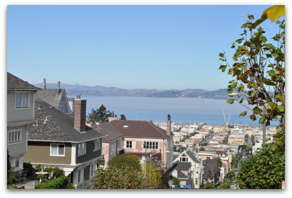 Views of the SF Bay from Alta Plaza Park