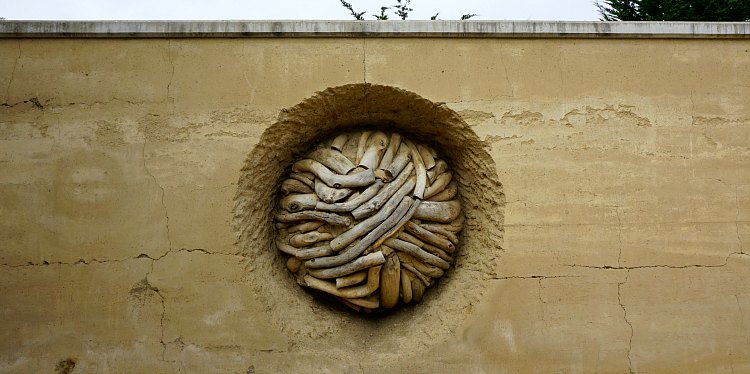 Andy Goldsworthy in the Presidio