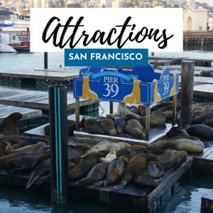 attractions sf 300
