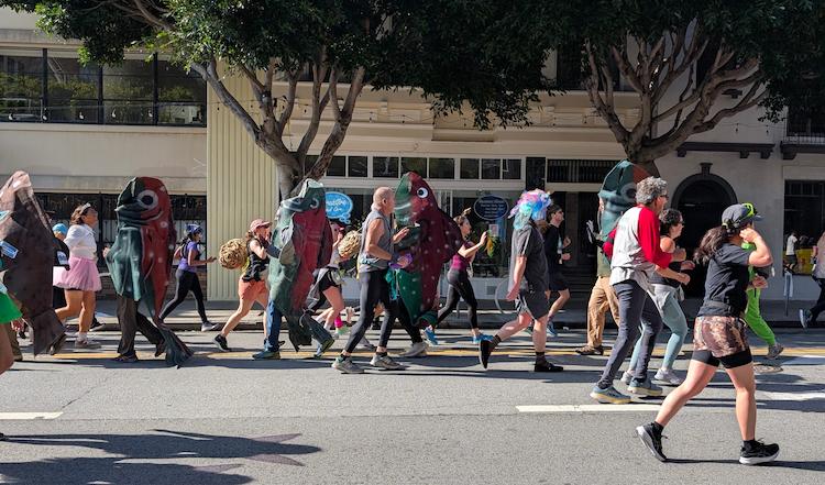 Salmon running the Bay to Breakers race
