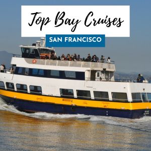 Bay Cruises 300