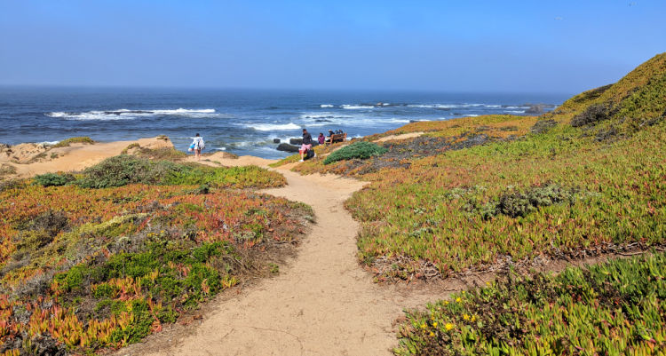 13 Unforgettable Things to Do in Half Moon Bay, California