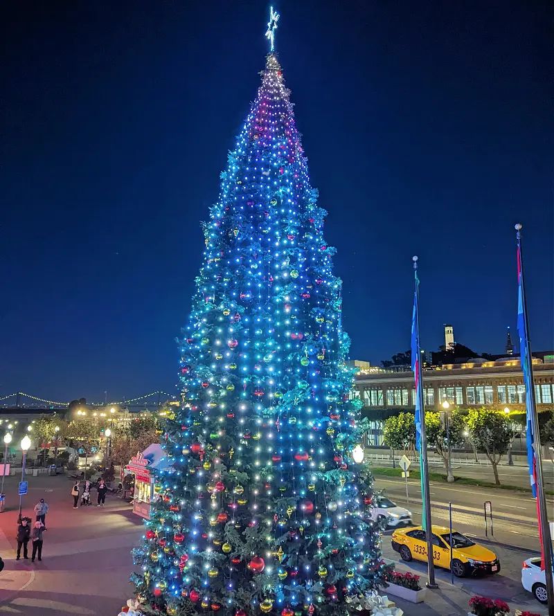 Blue Christmas Tree at Pier 39