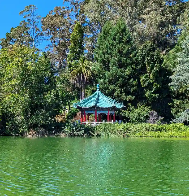 Blue Heron Lake and the Chinese Pavilion in Golden Gate Park