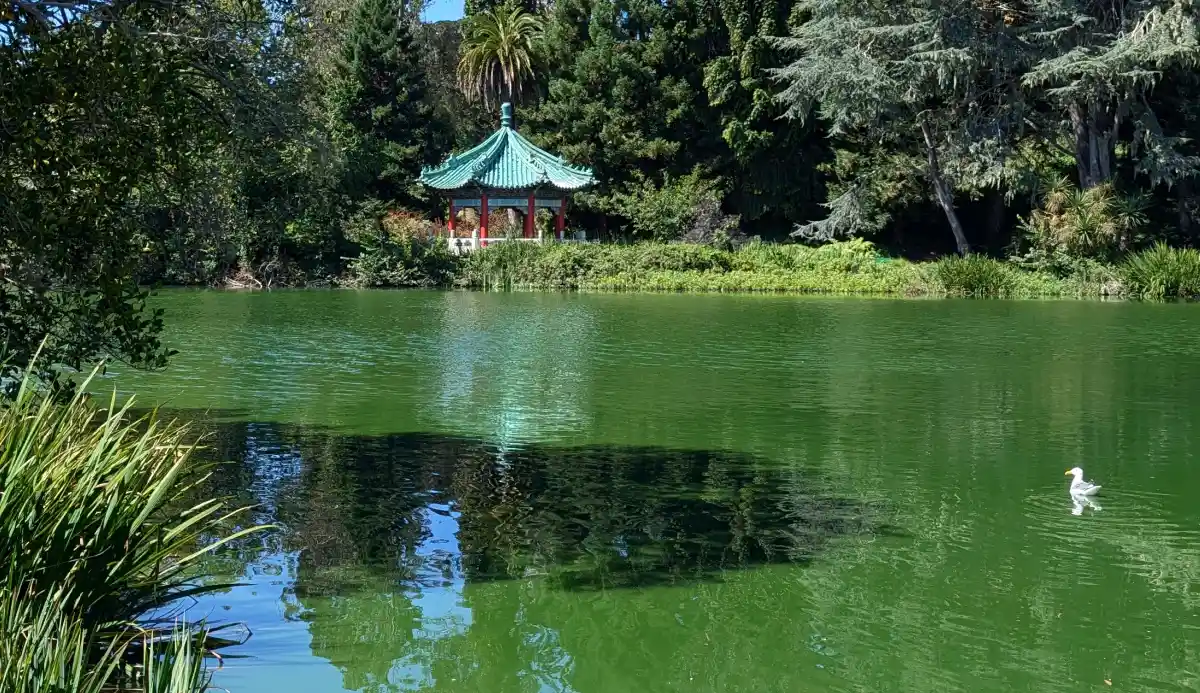 Blue Heron Lake and the Golden Gate Pavilion