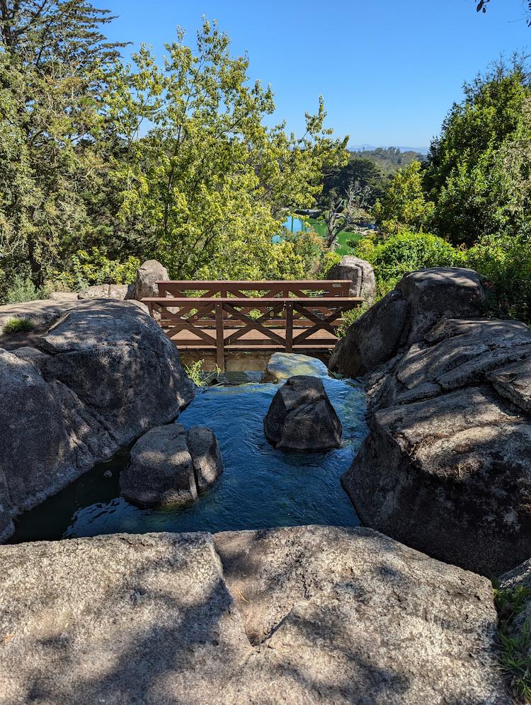 The serene Blue Heron Lake in Golden Gate Park