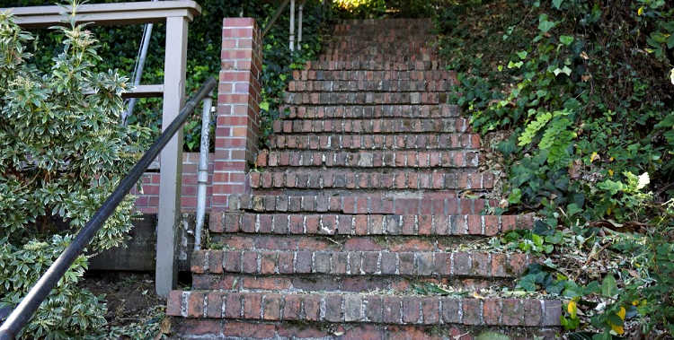 Brick Steps Next to the Garden