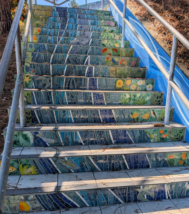 Burnside Tiled Steps
