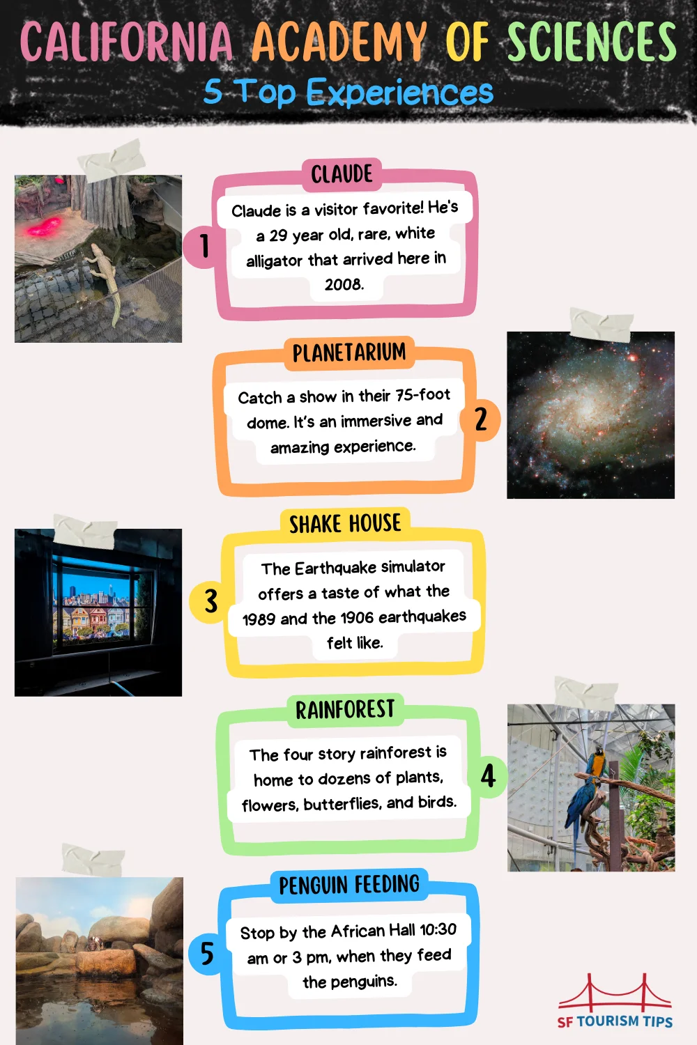 Pinterest Pin - Five Reasons to visit the California Academy of Sciences