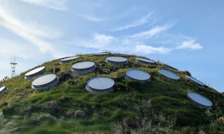 Living roof atop the California Academy of Sciences in San Francisco