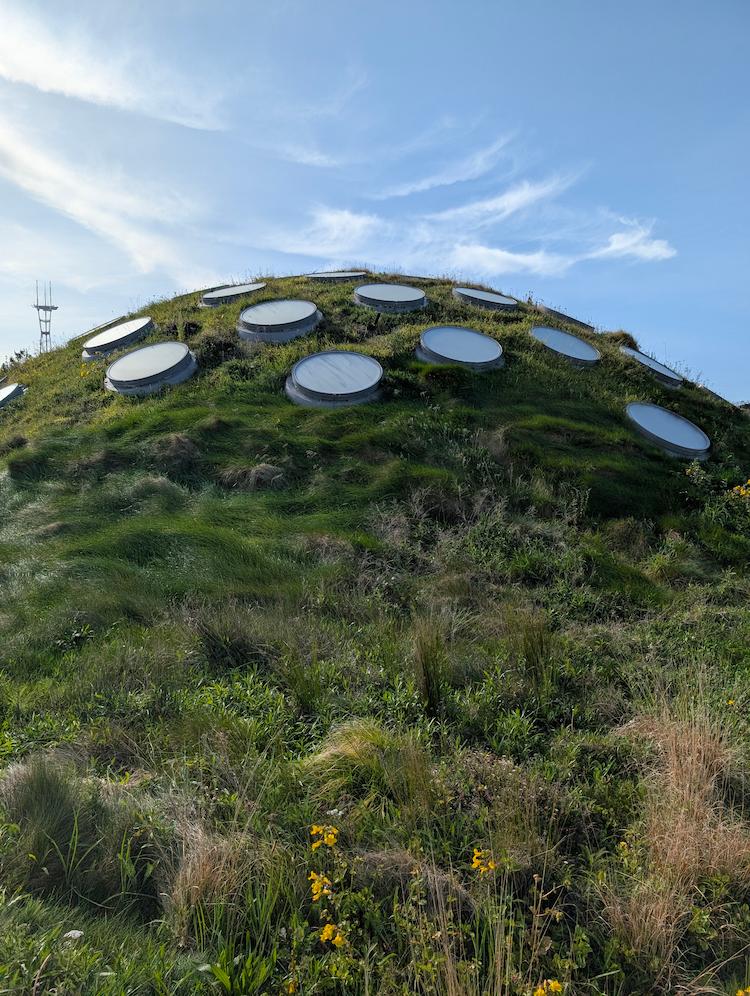 The living roof atop the California Academy of Sciences museum in San Francisco