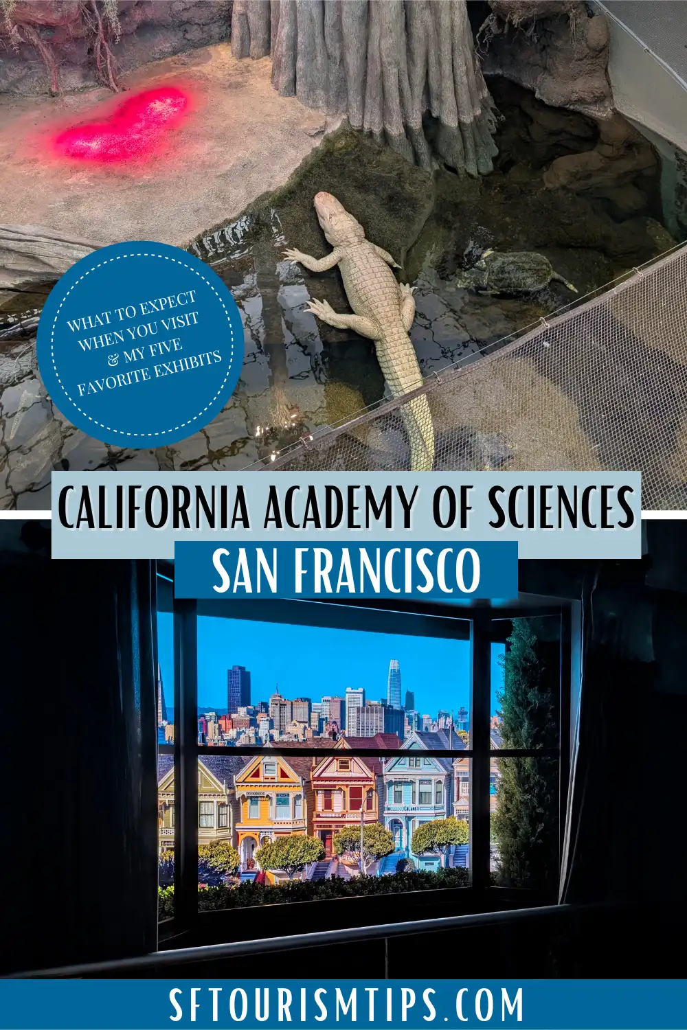 What to see during your visit to the California Academy of Sciences