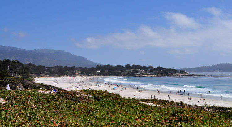 Carmel Beach from Above Carmel Beach from Above
