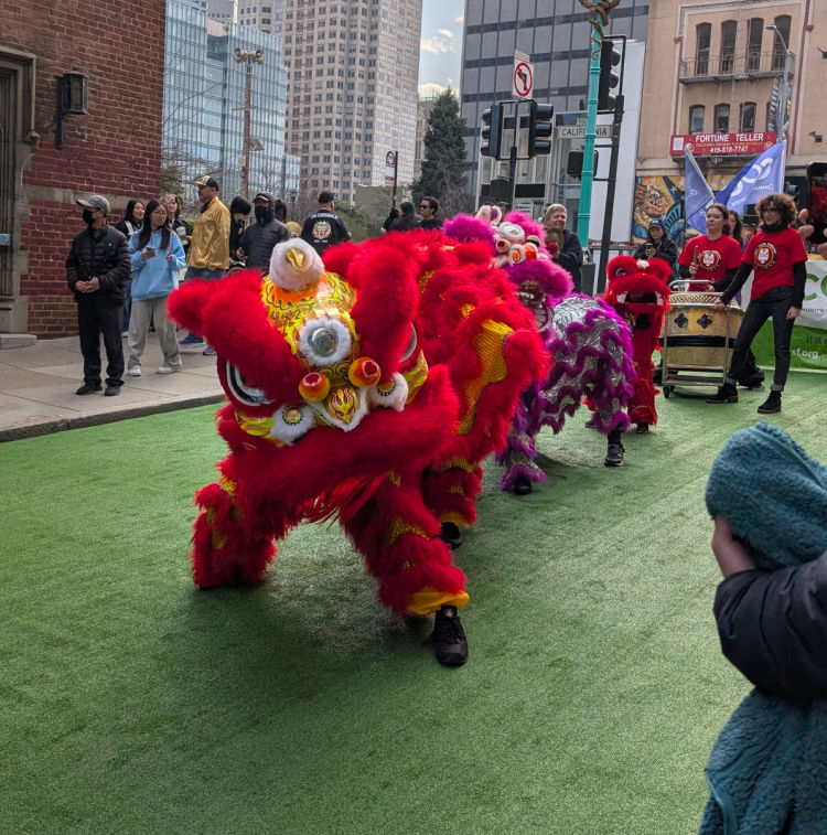 Chinese New Year Dragons
