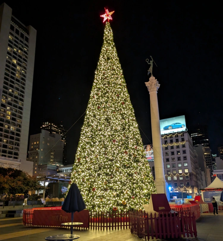 Union Square Tree in San Francisco