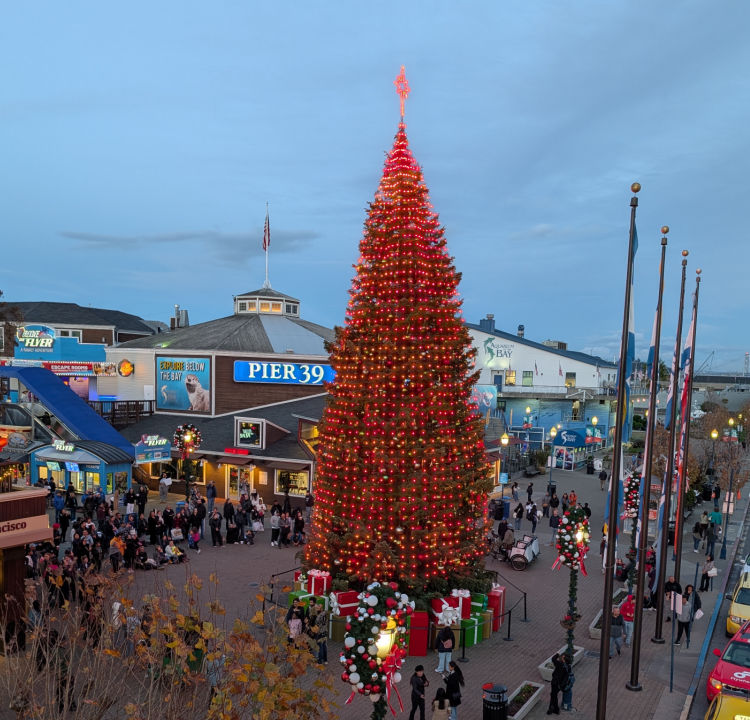 Christmas Tree at Pier 39