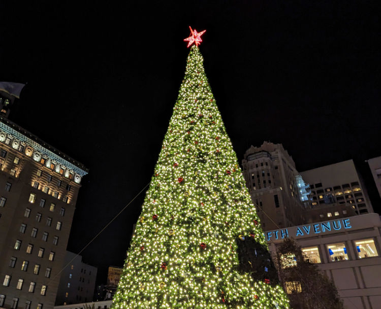 The annual Christmas tree in Union Square, lit up for the night!