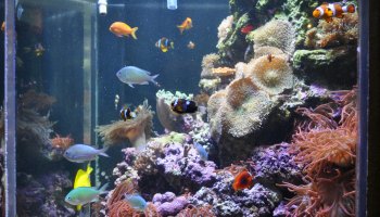 City Pass December City Pass December