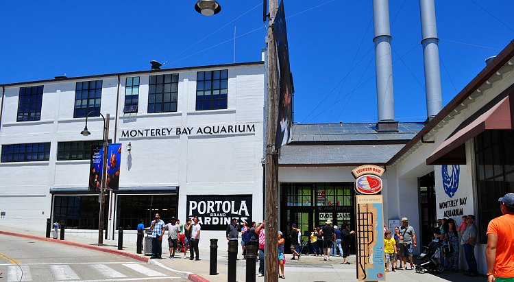 Clear Day at the Monterey Bay