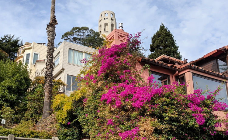 Coit Tower from the Steps