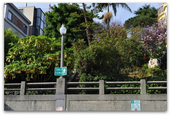 The filbert stairs leading up to Coit Tower.