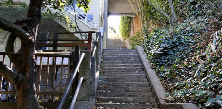 Greenwich Steps in San Francisco: Tips to Climb to Coit Tower
