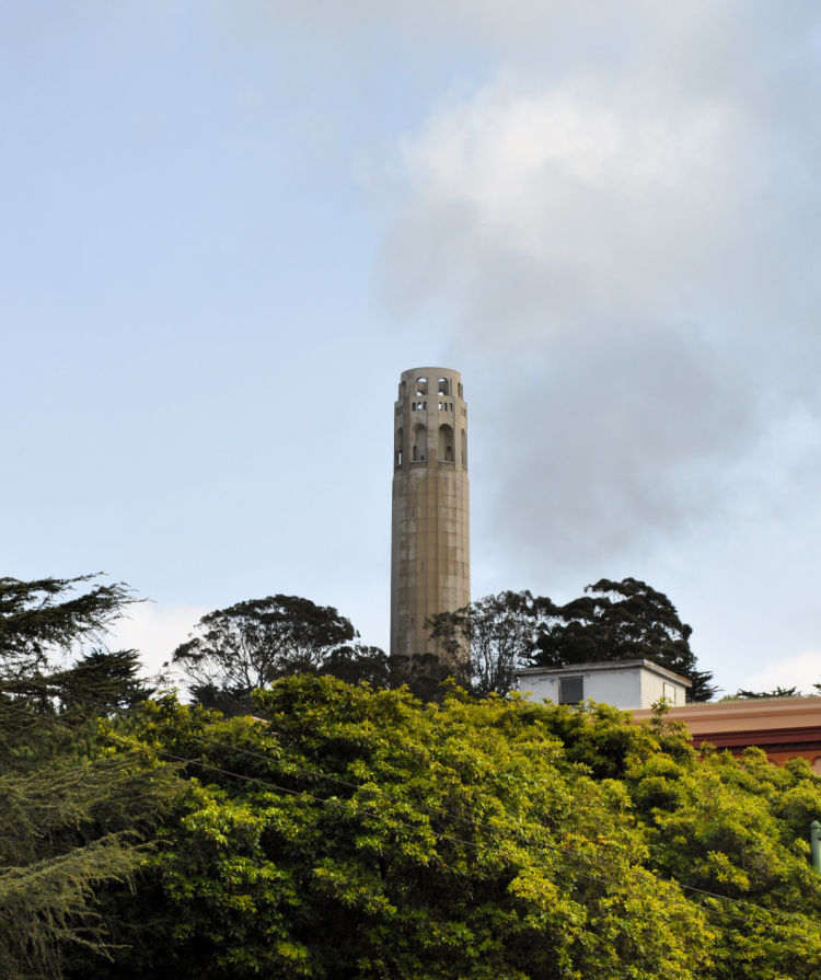 Coit Tower above the trees