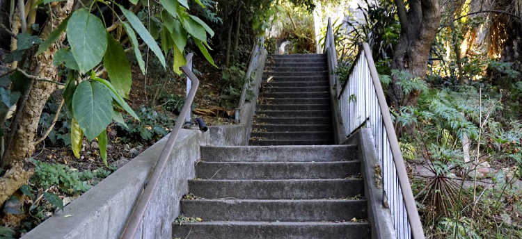 Concrete Stairs in San Francisco