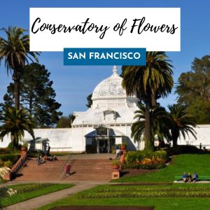 conservatory of flowers sf 300