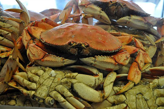 Crabs in Fish Alley in Fishermans Wharf