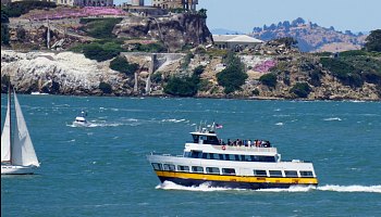 Cruises SF Cruises SF