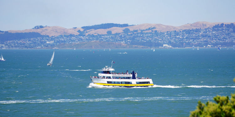 Crusing the SF Bay