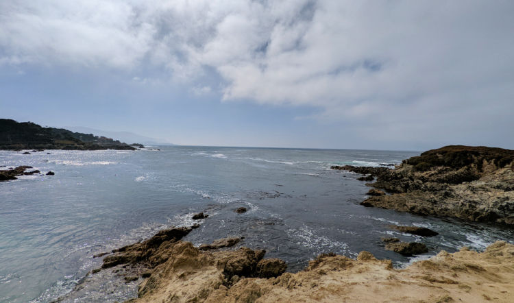 Cypress Grove Lookout