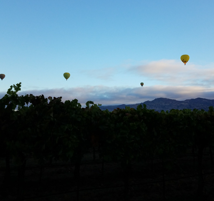 Morning balloons over Napa Valley