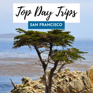 day trips sf 300