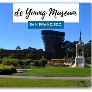 de young sf 300